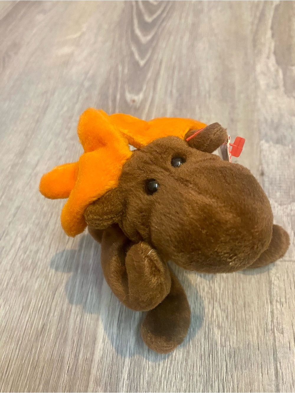 Ty Beanie Baby "Chocolate" Moose Plush with Bright Orange Antlers